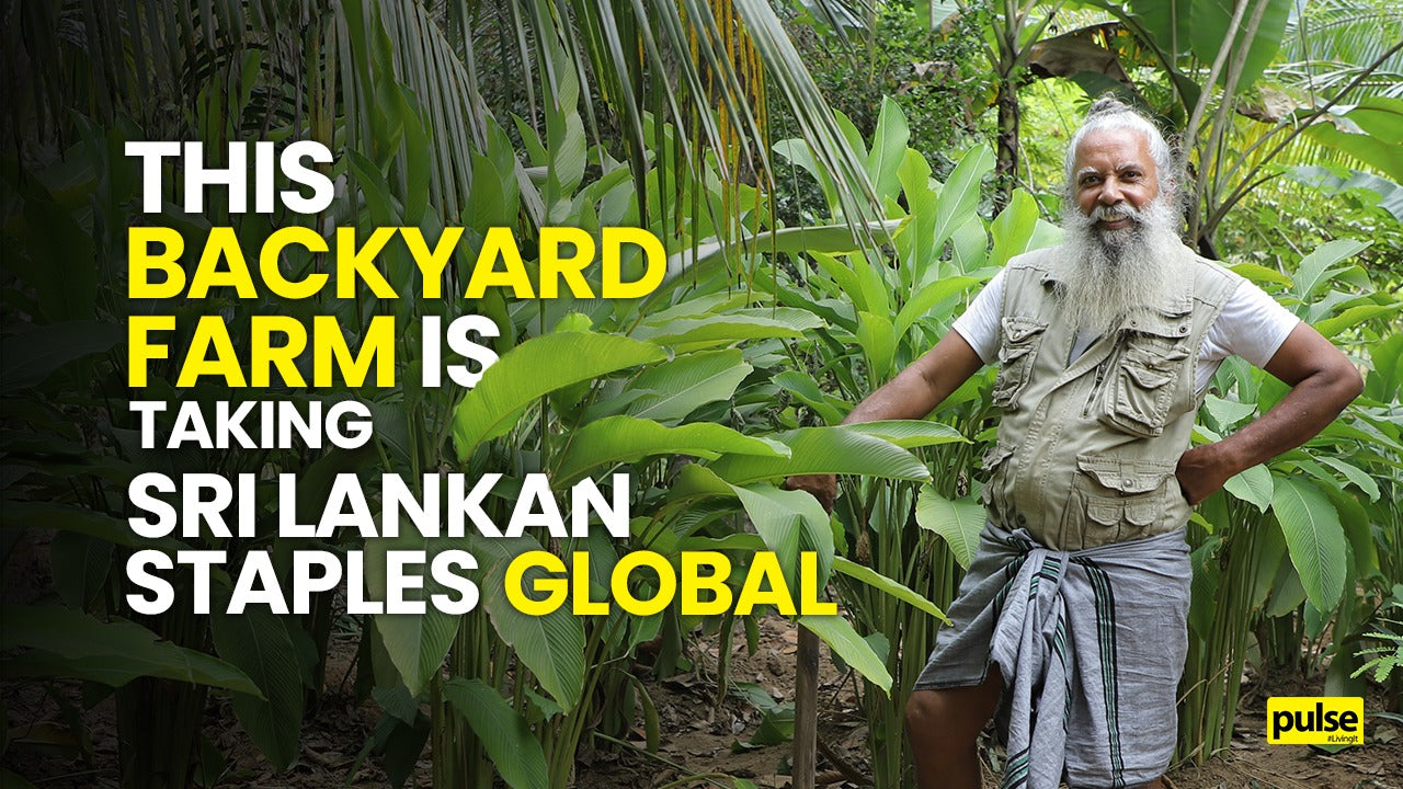 Load video: Story of a Sri Lankan Engineer in UAE retiring as an organic farmer in Sri Lanka